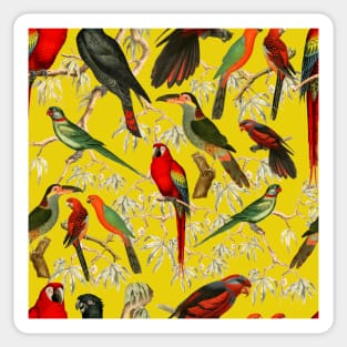 Tropical birds - Yellow Sticker